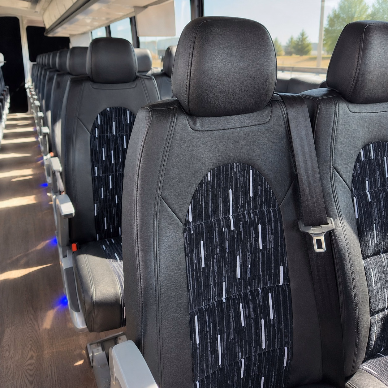 compare buses in minutes not days